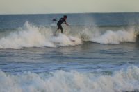 TED00223-scaled