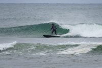TED03667-scaled
