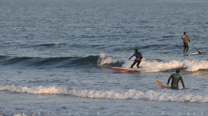 TED SURF SKI
