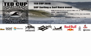 TED`S CUP 2016
