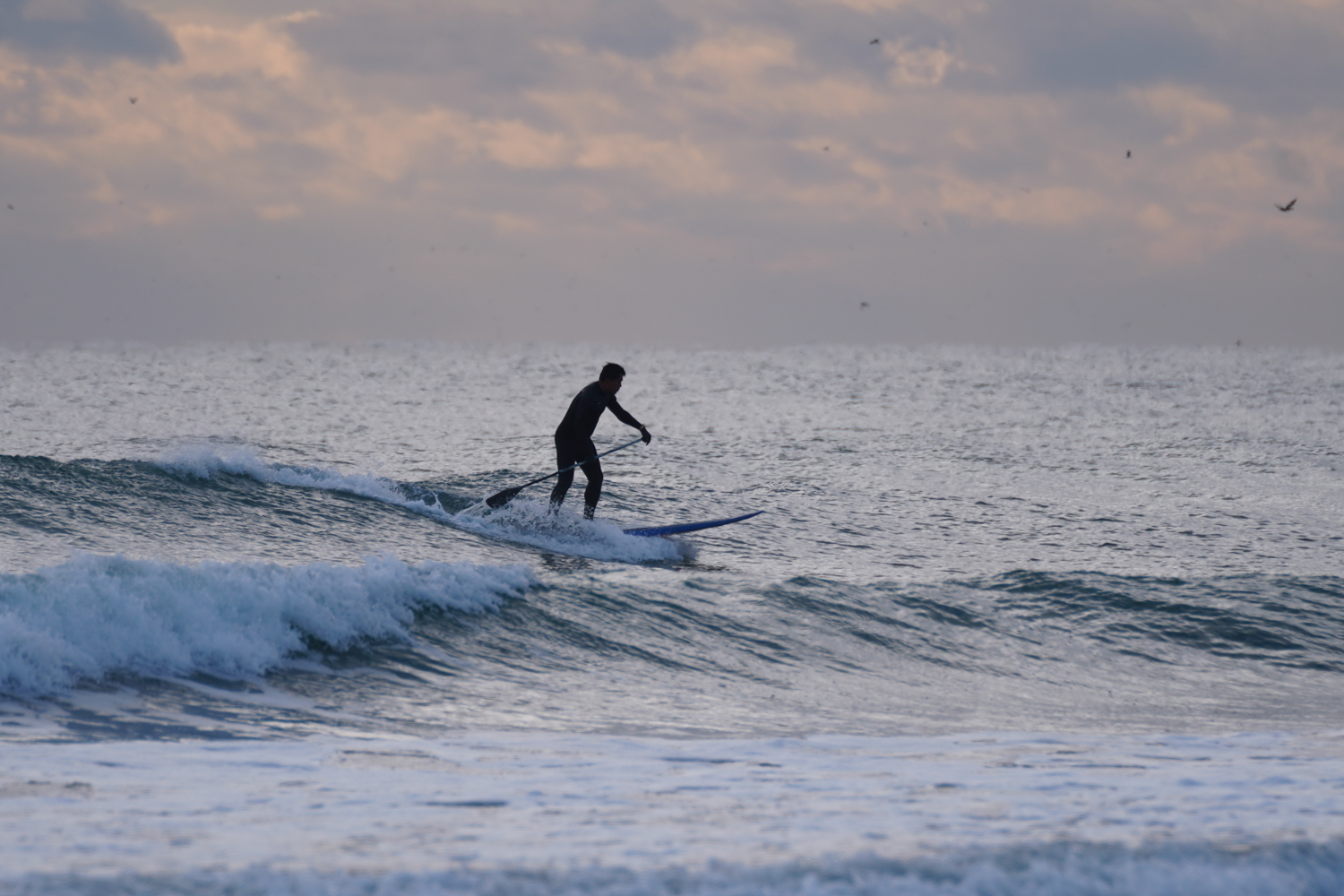寒さに負けずSUP&サーフセッション | TED OCEAN SPORTS BLOG