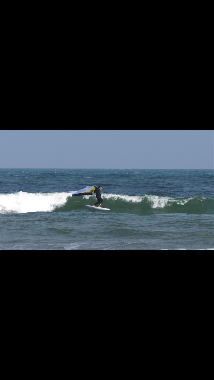 Freedom Foil Boards 2022 | TED SURF SHOP BLOG